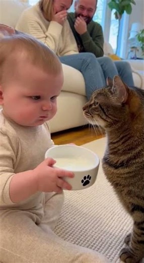 😱 Angry Cat vs Confused Baby 🐾😳#pets #funny #cat #dog #animals