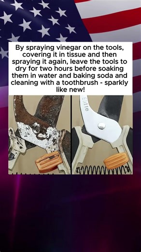 Clean Rust Off Tools Using Vinegar and Baking Soda for a Sparkling Finish