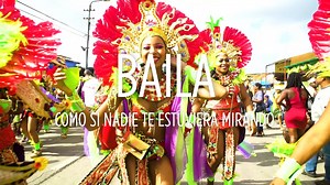 ¡Carnaval en Curacao el próximo año! 🙌😎🎉 Planifica tu viaje desde ya en 👉 https://www.viajeacuracao.com/ #SiénteloTúMismo 👉 https://www.curacao.com/es/ 🎉 Viaje a Curacao | Oficina de Turismo de Curacao