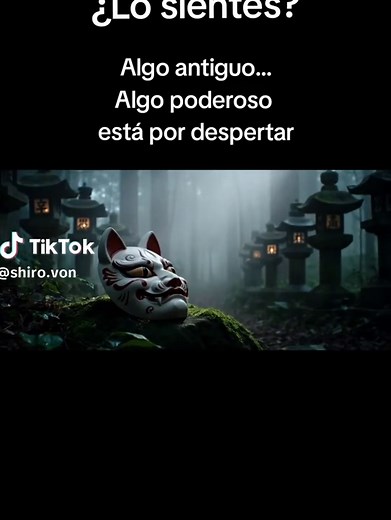Shiro on TikTok