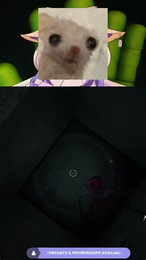 Why is Poppy Playtime SO SCARY????