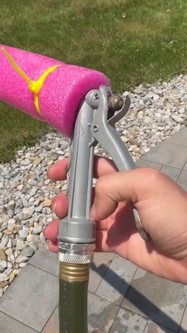 Save your plants with this simple tip