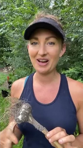 How to properly cure garlic for storage