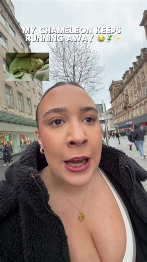 Solving My Chameleon Challenges: A Journey with Pandora