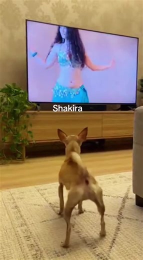 Shakira's Dance Challenge on TikTok