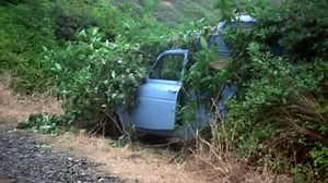 Bad Taste (Peter Jackson, 1987) (1)