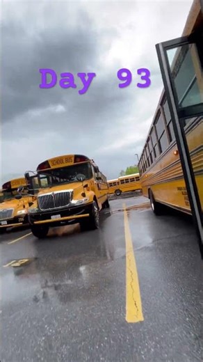 Day 93 of asking my bus driver dumb questions #funny