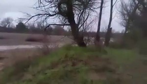 33K views · 776 reactions | Rear hatch glass removal made easy. Step one, hold my beer..... | Jeepfreeks | Facebook