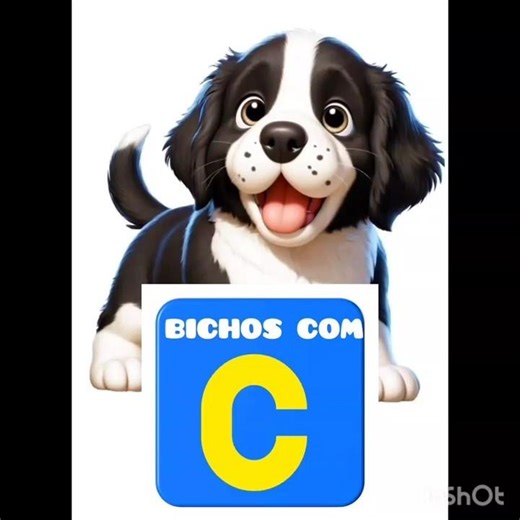 Letter "C" with animals - Animals #literacy #consonants #alphabet #vowels #earlychildhoodeducation