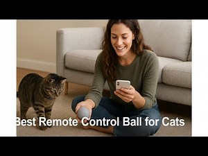 🐱 Best Remote Control Ball for Cats | Giociv Interactive Cat Toys Ball for Fast Rolling on Carpet 🎾