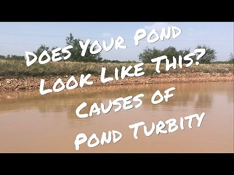 Does Your Lake Look Like This? Causes of Pond Turbidity