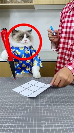 “Girl Tries to Cheat in Tic-Tac-Toe… But Her Cat Outsmarts Her!” 🐱😲