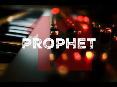 Prophet 12