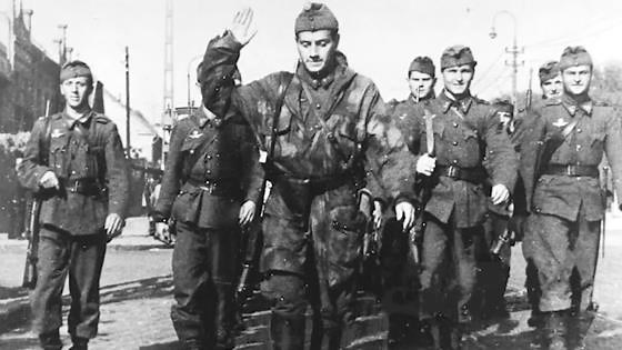 Hungary’s reluctant alliance: Pride, pressure, and the fall of Budapest