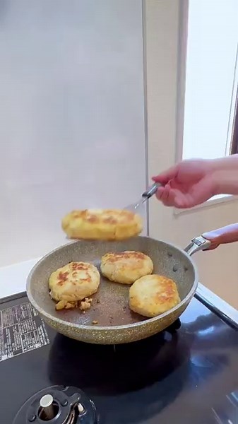 Okara hamburger steak