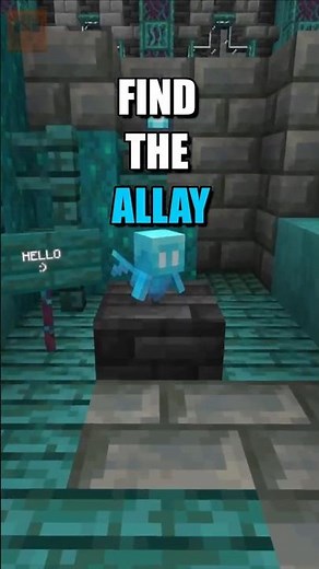Find The Allay in 5 Seconds! 🔍 | Minecraft