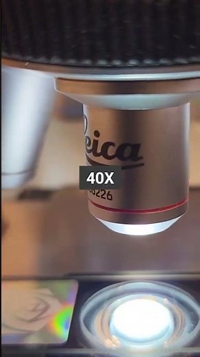 HAIR at 40x,100x, 200x and 400x magnification | HAIR under the miscroscope