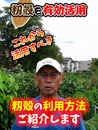 野菜栽培で籾殻の有効活用で土壌の水はけも通気性も改善！#家庭菜園 #野菜栽培 #野菜の育て方 #秋冬野菜栽培 #秋冬野菜の育て方 #籾殻 #土壌改良 #土壌改善 #農園 #栽培