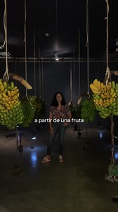 ¿Sabías que el nombre científico de la planta del banano es "Musa paradisíaca"? El artista José Alejandro Restrepo encontró en un libro de 1838 el grabado “Étude de bananier (Musa paradisíaca)” que ilustra a una mujer sensual sentada bajo una de estas plantas. Este dibujo llevó a Restrepo a investigar la "Musa paradisíaca" consolidando una de las obras más relevantes del arte colombiano; así mismo, estudió las expediciones, relatos históricos, archivos fotográficos y registros recientes sobre la