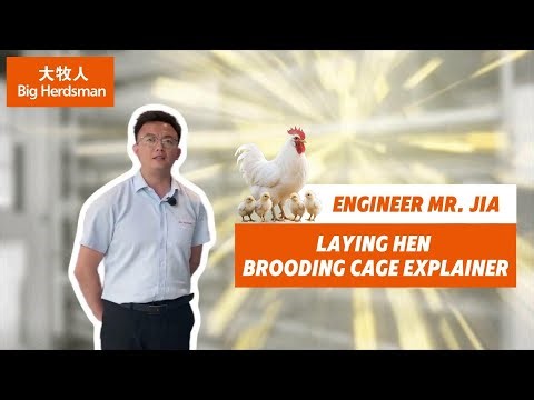 Bigherdsman Brooding Cage — Scientific Farming, Efficient Brooding