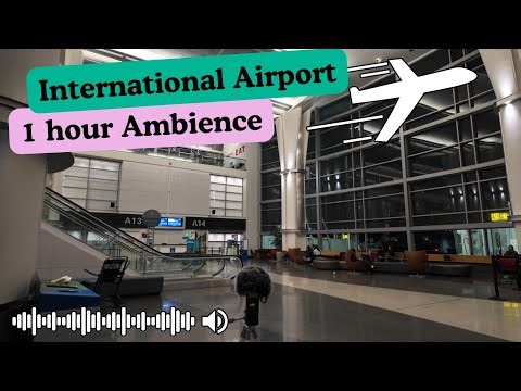 SFO Airport Terminal Ambience Sounds for Sleep, Focus & Travel Lovers