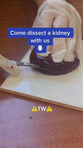 Grade 11 Biology Cheat Sheet Study Guide | October Release