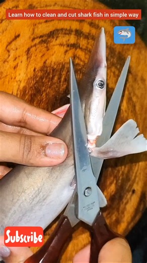 Shark Fish🦈 Cutting & Cleaning | Shark (Baby Shark) सफाई और कटाई |#shorts#shreekitchendramaandvlogs