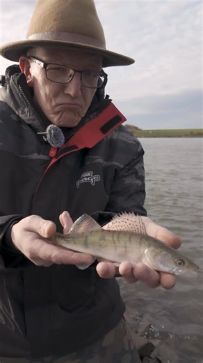 PROBAITS | Kevin Eikamp | Angelköder und Zubehör on Instagram: "Köderfische fangen mit Kevin 😂🎣 #fishing #insta #predator"