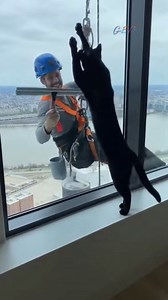 413K views · 8.3K reactions | Omg he really like this window cleaner  #cleaner #chaos #Funny #CrazyCatMoments #CatMeme | NextGen Visuals Sr | Facebook