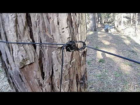 NITE IZE CAMJAM RIDGELINE SETUP FOR YOUR TARP