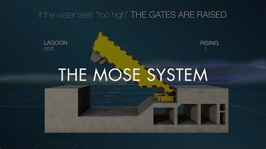 THE MOSE SYSTEM