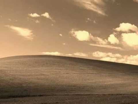 春がいっぱい　shadows