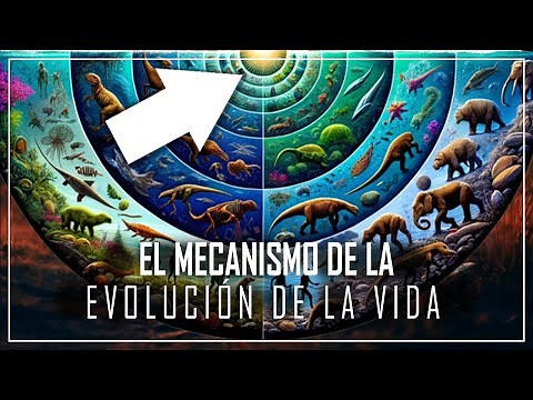 La increíble historia del mecanismo del origen de la evolución de la vida | DOCUMENTAL 2024