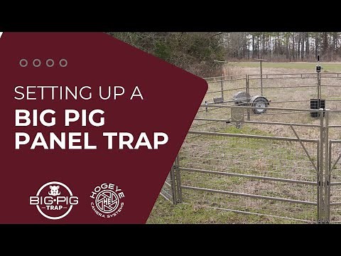 Setting Up A Big Pig Panel Trap