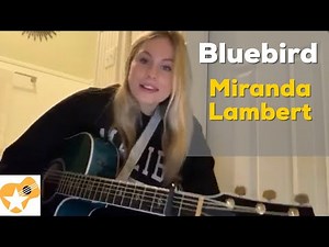 Bluebird | Miranda Lambert | Beginner Guitar Lesson @BrookeHatala