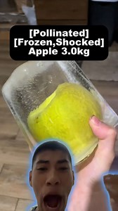 507K views · 7.4K reactions | Paldo Pollinated frozen! #reelsviralシ #fypシ゚ #reelsfypシfb #fypviral #roblox #gaming #fypシ #fypage #fypシviralシ2024 #Roblox #reelsviralfb #fypchallenge #fypviralシ | ToshiBlox | Facebook