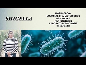 SHIGELLA (Enterobacteriaceae)-Morphology, Characteristics, Pathogenesis, Lab diagnosis and Treatment