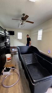 A NEW TURTLE in the Mangrove Pond! 🐢💚 #turtles #pets #wildlife #animals | DanTheTurtleMan