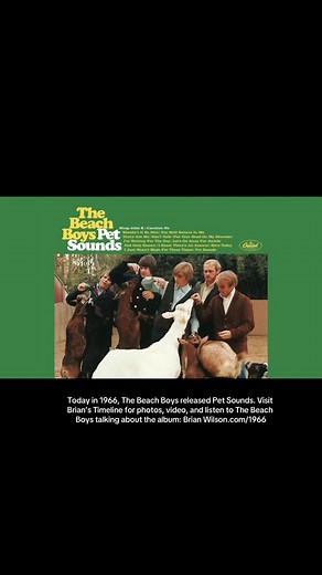 #1966 #petsounds