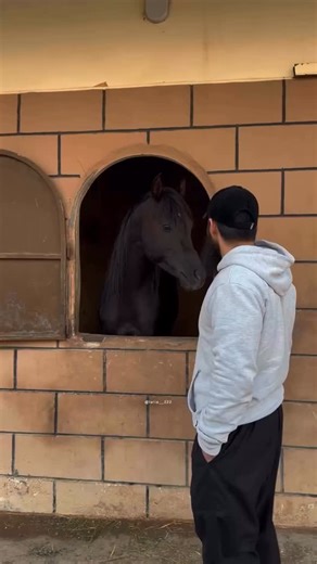 @mystore_bougamra on Instagram: "😍🌘🌘🌘🖤💍💍💍"