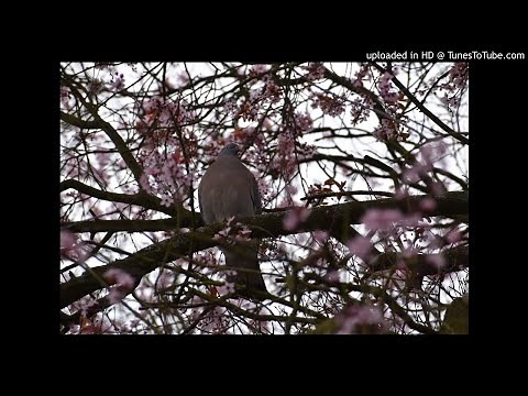 GOSPEL BAOULÉ MIX- CÔTE D'IVOIRE