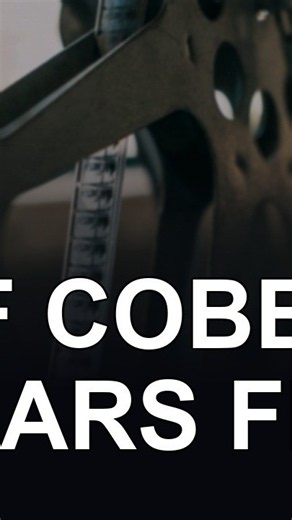 Why did The Thief and the Cobbler take 28 years to finish?
