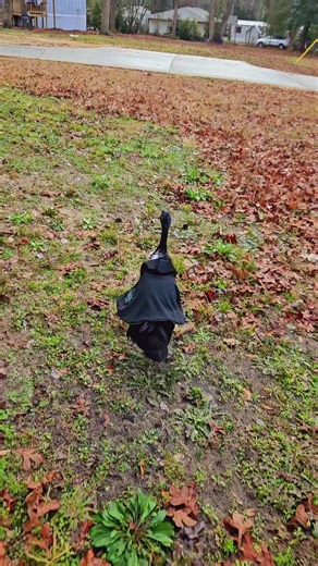 Hot Sauce Masters Potions at Hogwarts!