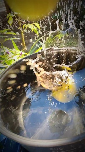 เสาวรส ที่สวยได้ด้วยโหมดสโล💛