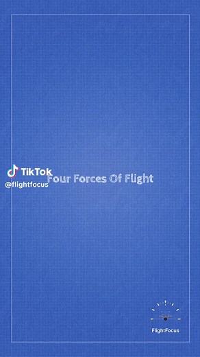 The four forces of flight include: Thrust, Drag, Lift and Weight. Every pilot is required to know these laws from a fundamental standpoint. #reels #aviation #studentpilot #aircraft #avgeek #theory #avgeeks #physics