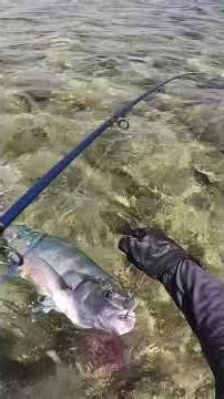 One Fish, Two Escapes, and a Selfie Rod Höwk Blue Care @howkfishing Hook’s BKK SF Reefmaster H