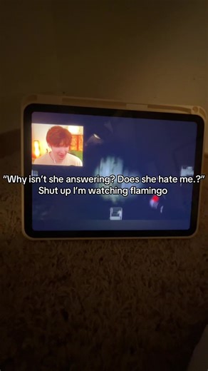 New video is peak #fyp #fypシ゚viral #flamingo #albertsstuff #albertaretz