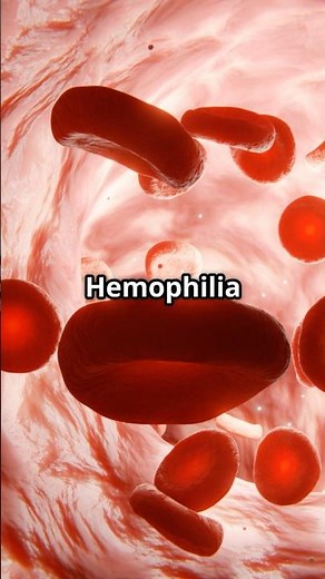 World Haemophilia Day 2025 | Raising Awareness & Closing the Gap