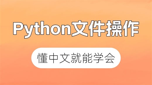 【Python入门教程之文件操作】2025最新版学习视频 | 用Python操作文件 | 一看就会，过目难忘