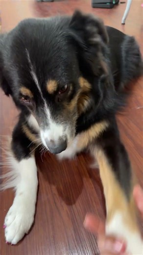 Tell ‘em Leesi 😎